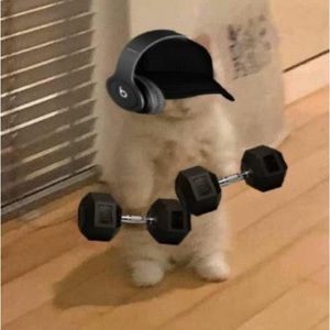 Meet your Posher, Maria